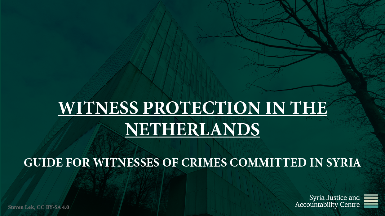WITNESS PROTECTION IN THE NETHERLANDS