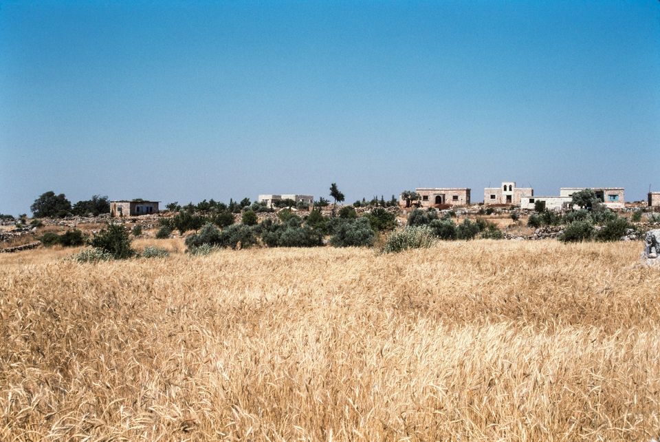 Too Little Water, Too Much War: Wheat Shortages in Syria