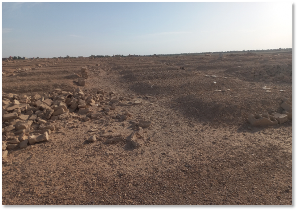 Searching for Missing Yazidis in Syria - Prospects for a Forensic Search Effort