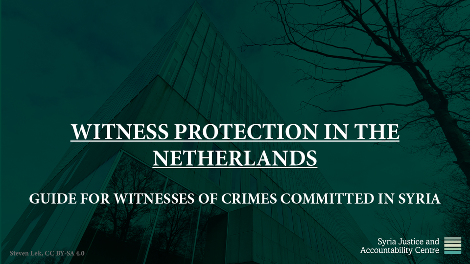 WITNESS PROTECTION IN THE NETHERLANDS